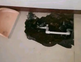 大东卫生间测漏水多少钱